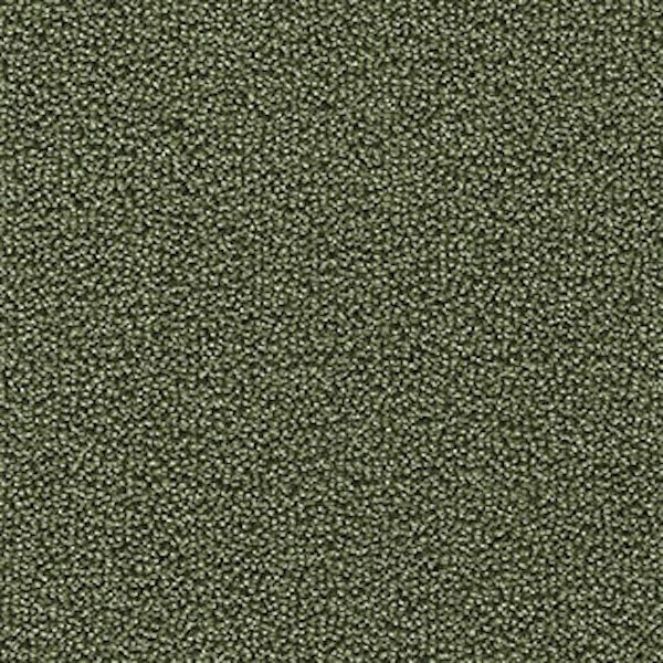 Ковролін AW Pearl 8641 фото