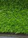 Штучна трава Prettie Grass Karpatia 18 7808 фото 8