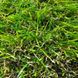 Штучна трава CCGrass Cam 28 3050 фото 4