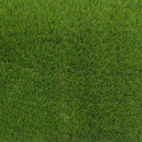 Штучна трава CCGrass Lissome 45 3052 фото