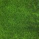 Штучна трава CCGrass Lissome 45 3052 фото 18