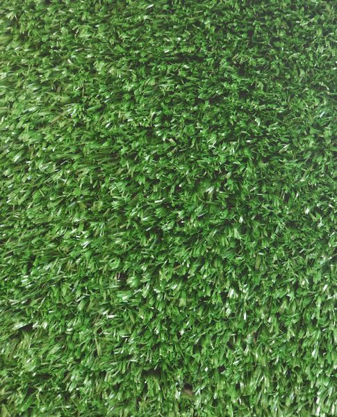Штучна трава EcoGrass SD-15 3053 фото