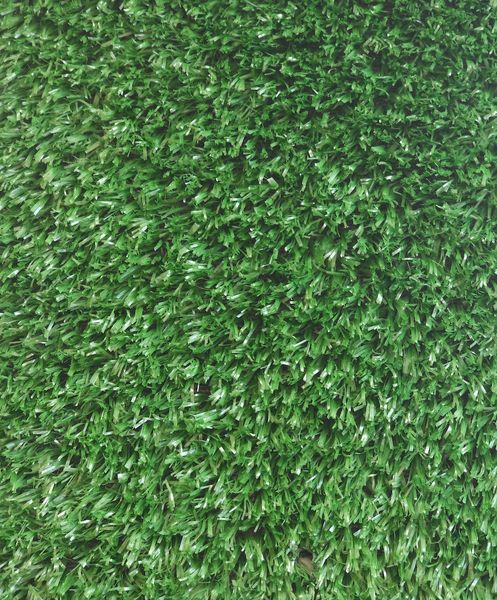 Штучна трава EcoGrass SD-15 3053 фото