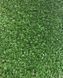 Штучна трава EcoGrass SD-15 3053 фото 19