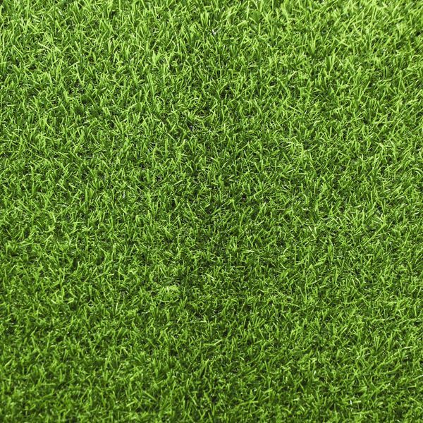 Штучна трава EcoGrass SD-20 3054 фото Штучна трава EcoGrass SD-20 3054 фото