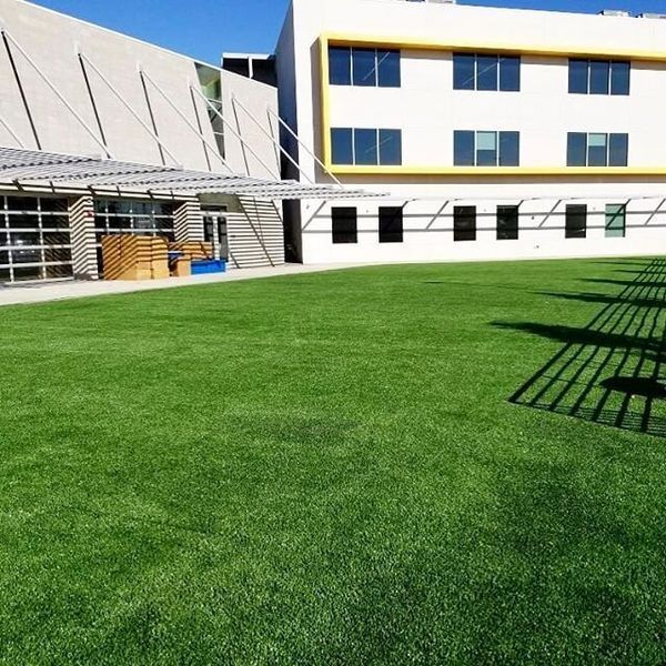 Штучна трава EcoGrass SD-20 3054 фото Штучна трава EcoGrass SD-20 3054 фото