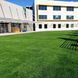 Штучна трава EcoGrass SD-20 3054 фото 3