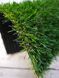 Штучна трава EcoGrass U-20 3055 фото 5