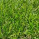 Штучна трава EcoGrass U-20 3055 фото 3