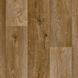 Лінолеум Lentex Pionieer 633-05 5616 фото