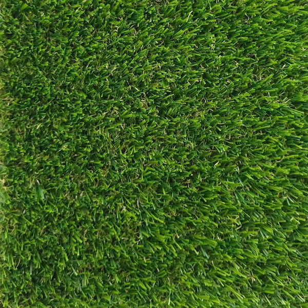 Штучна трава Prettie Grass Galicia 20 3477 фото Штучна трава Prettie Grass Galicia 20 3477 фото