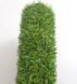 Штучна трава EcoGrass 17 3056 фото 12
