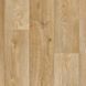 Лінолеум Lentex Pionieer 633-06 5617 фото