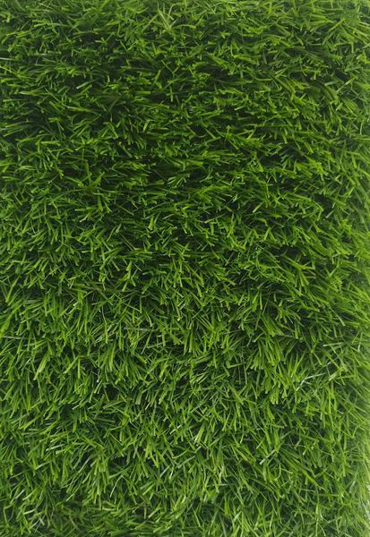 Штучна трава EcoGrass SD-35 3057 фото