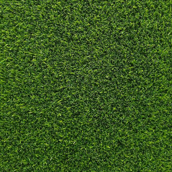 Штучна трава Congrass Colorturf зелена 3479 фото Штучна трава Congrass Colorturf зелена 3479 фото