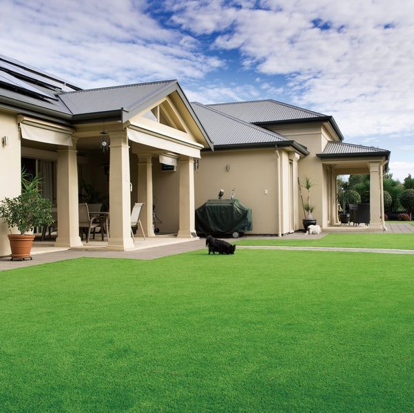 Штучна трава Congrass Colorturf зелена 3479 фото Штучна трава Congrass Colorturf зелена 3479 фото