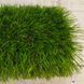 Штучна трава Landgrass 30 1643 фото 7
