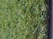 Штучна трава Turfgrass Alina 1647 фото 7