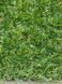 Штучна трава Condor Grass Admire 18 7853 фото 6