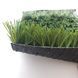 Штучна трава Prettie Grass Mundial 4974 фото 7