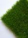 Штучна трава Prettie Grass Magnolia 26 8231 фото 16