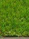 Штучна трава Prettie Grass Magnolia 26 8231 фото 13