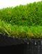 Штучна трава Prettie Grass Magnolia 26 8231 фото 14