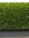 Штучна трава Condor Grass Admire 25 7856 фото 8