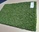 Штучна трава Condor Grass Admire 25 7856 фото 12